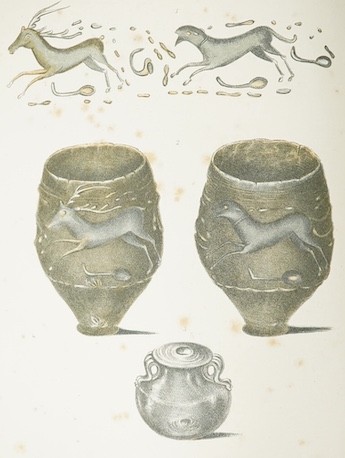 Dixon, Frederick - The Geology of Sussex; or the Geology and Fossils of the Tertiary and Cretaceous Formations of Sussex. new edition. revised and augmented by T. Rupert Jones. 65 lithographed plates (3 hand-coloured, 4